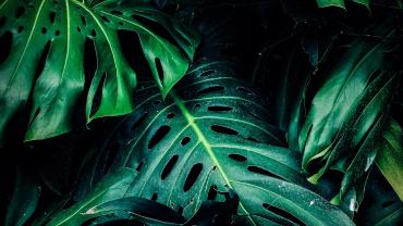 The Spectrum of Green, explaining what good means.