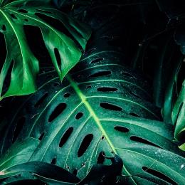 The Spectrum of Green, explaining what good means.